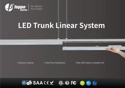 Toppo Brighton Trunk Linear System