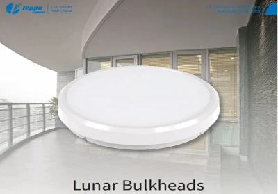 Repalcement For 2D Fluorescent: Toppo's Lunar Bulkheads