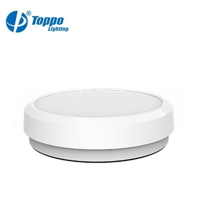 Flush Mounted EVO Ceiling Light