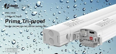 How Much Do You Know About Tri-proof Light?