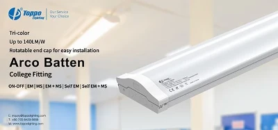 Arco Batten Light