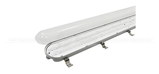 New A Version Triproof Light Introduction