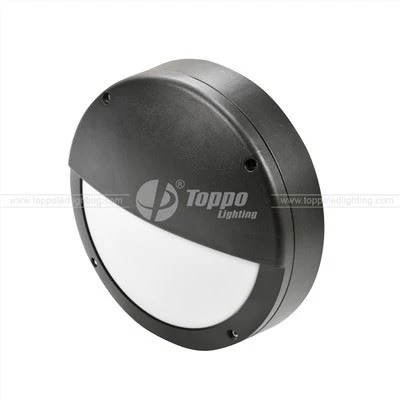 D350 Moon 2D Bulkheads Light