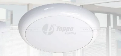 LED Ceiling Light