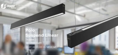 Introduction Of Polo Suspend Linear/Tricolor Up And Down Light