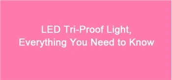 LED Tri-Proof Light, Everything You Need To Know
