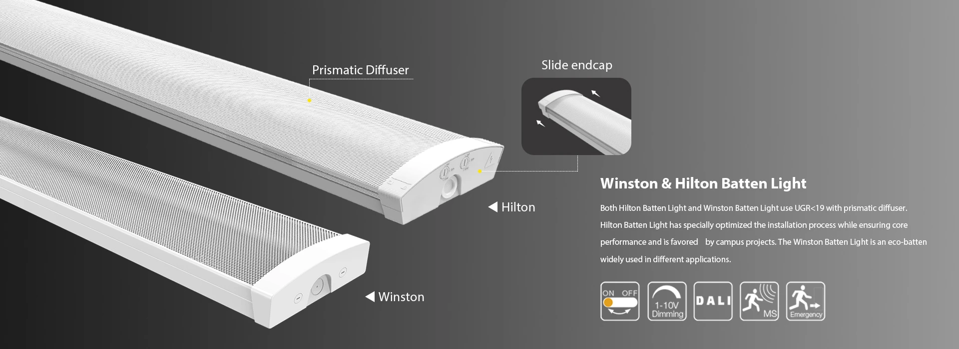 Batten Light